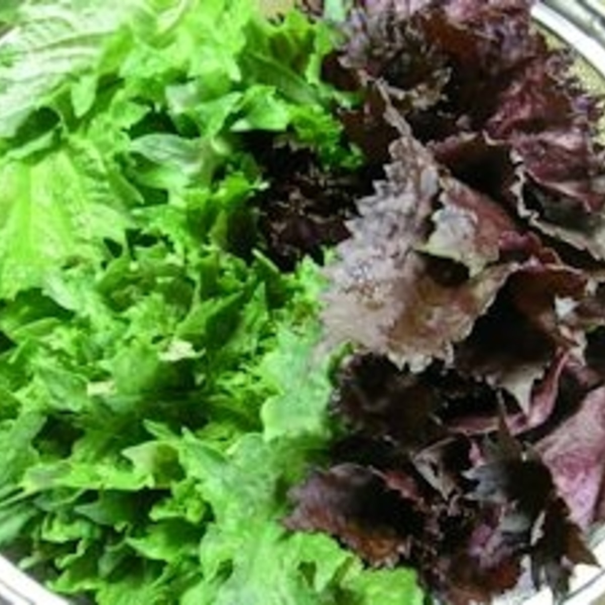 長期保存出来て お握りや薬味に最適 青紫蘇の塩漬け レシピ 作り方 By Nkkmarine 楽天レシピ 長期保存出来て お握りや薬味に最適 青紫蘇の塩漬け レシピ 作り方 By Nkkmarine 楽天レシピ